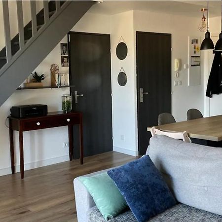 Appartement Cosy Proche Toulouse Castelginest Zewnętrze zdjęcie